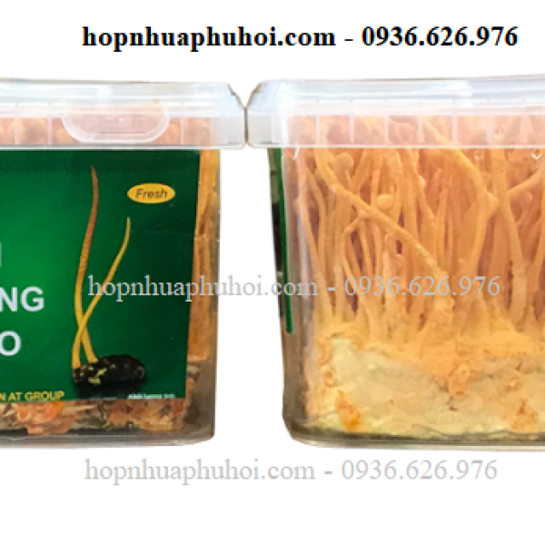 Hộp nhựa vuông đựng đông trùng hạ thảo